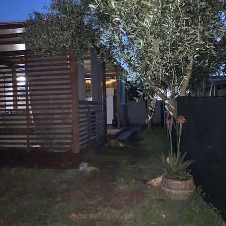 Large Camper In The Olive Grove Hotell Banjole Eksteriør bilde