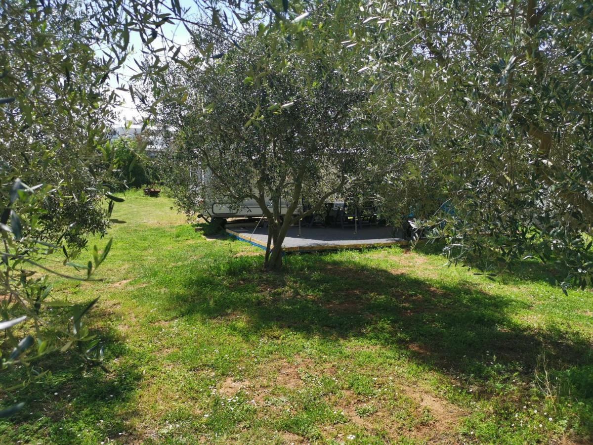 Large Camper In The Olive Grove Hotell Banjole Eksteriør bilde