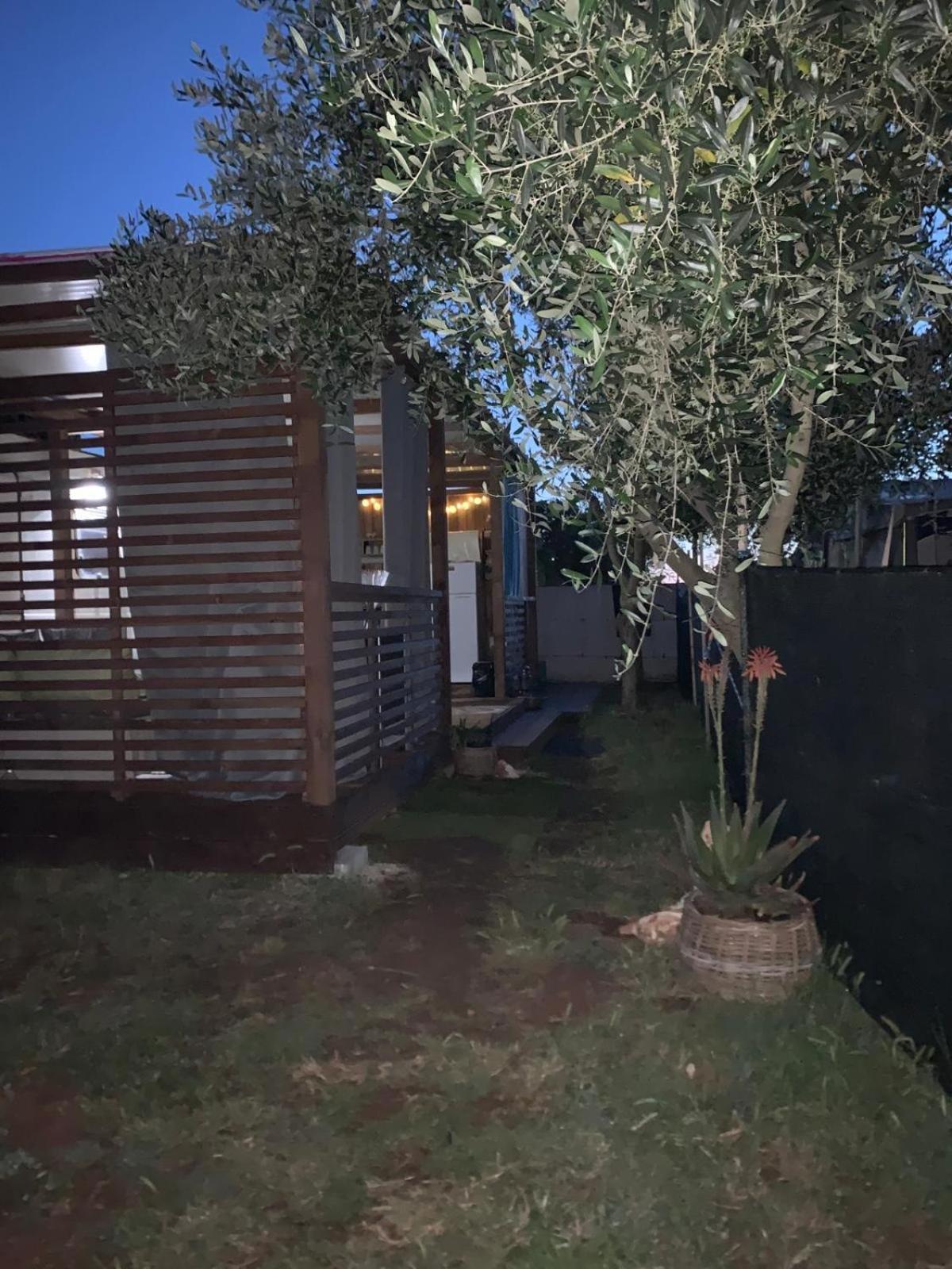 Large Camper In The Olive Grove Hotell Banjole Eksteriør bilde